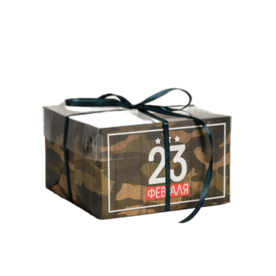 Коробка на 4 капкейка «23 Февраля. Хаки», 16 × 16 × 10 см